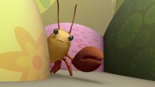 S1 E19: The Snapping Shrimp