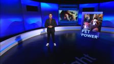S25 E17: Pet Power (Chinese)