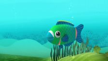 S1 E45: The Pirate Parrotfish