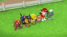 S7 E2: Pups Save Election Day; Pups Save the Bubble Monkeys