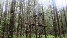 S1 E6: Elevated Shelter with Food Storage
