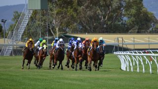Famous Five - Cox Plate