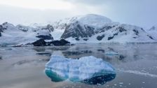 S30 E7: Antarctica