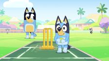 S3 E47: Cricket