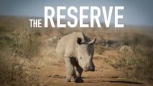 The Reserve