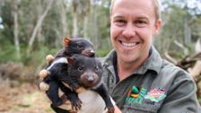 S8 E8: Bondi Vet