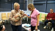 S7 E22: Bondi Vet