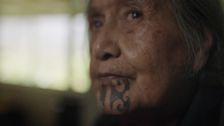 S1 E1: Ponga Whānau