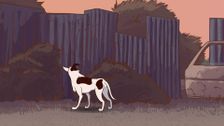 S3 E8: Old Dogs Day