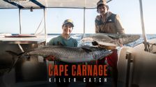 Cape Carnage: Killer Catch