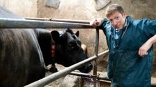 S1 E1: The Yorkshire Vet