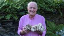 S3 E10: Rick Stein's Cornwall