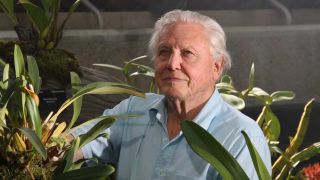 David Attenborough's Kingdom of Plants