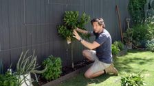 S30 E5: Better Homes and Gardens