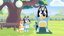 S3 E39: Exercise
