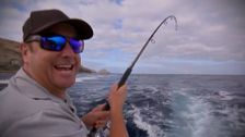 S6 E17: Creek to Coast