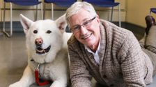 S5 E8: Paul O'Grady: For the Love of Dogs