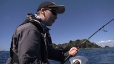 S5 E1: Predator Prey