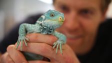 S7 E17: Bondi Vet