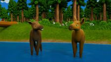 S2 E12: Moose Tracks