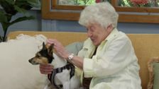 S5 E10: The Dog House Australia