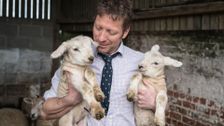 S6 E2: The Yorkshire Vet