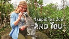 Maddie, the Zoo and You