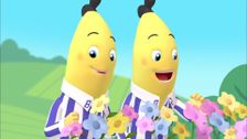 S1 E25: The Flowers