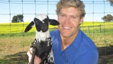 S6 E22: Bondi Vet
