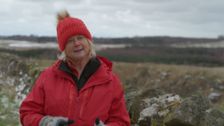 S1 E2: Our Dream Farm with Matt Baker