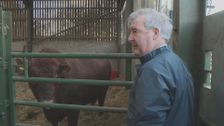 S11 E4: The Yorkshire Vet