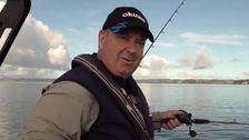 S8 E1: Winter Kaipara
