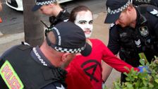 S7 E34: Extinction Rebellion