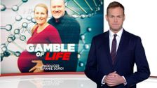 S40 E24: Gamble of Life, A Magpie Called Penguin, Hell of a View
