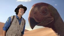 S1 E14: Gigantoraptor and Feather