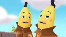 S1 E19: Click Clack