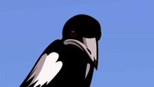 S1 E12: Territories