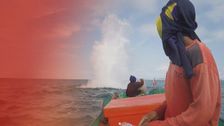 S2019 E7: Malaysia's Fish Bombers