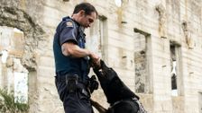 S12 E4: Dog Patrol