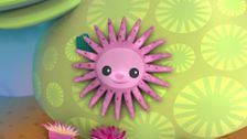 S1 E13: The Lost Sea Star