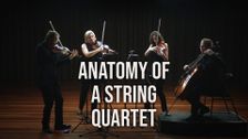 Anatomy of a String Quartet