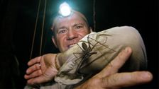 S4 E9: Ecuador Jungle