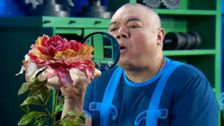 S1 E33: Squidgie's Plant