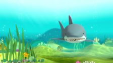 S2 E4: Great White Shark