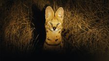 S4 E5: South Africa
