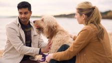 S41 E73: Neighbours: A New Chapter
