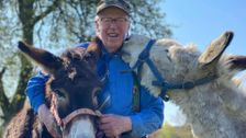 S12 E10: The Yorkshire Vet
