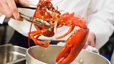 S1 E32: MasterChef Australia