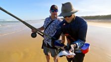 S20 E43: Creek to Coast