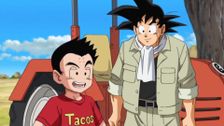 S1 E16: Vegeta Becomes a Student?! Win Over Whis!